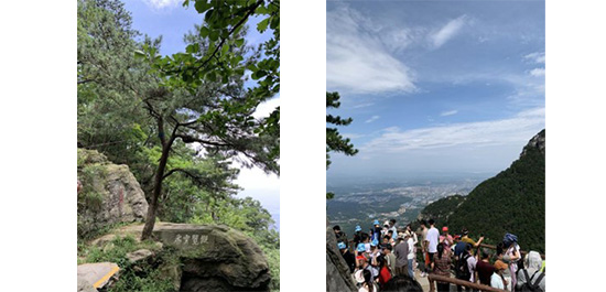 江蘇泰隆減速機（集團(tuán)）股份有限公司